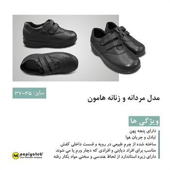 پک دیابتی